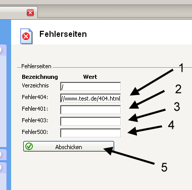 Confixx Fehlerseiten Eingabe